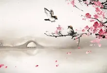 china birds 1920x1080 wallpaper Art HD Wallpaper